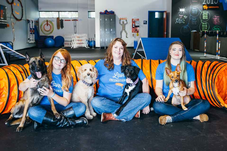 Zoom Room Dog Training Franchise : Best Pet Franchises