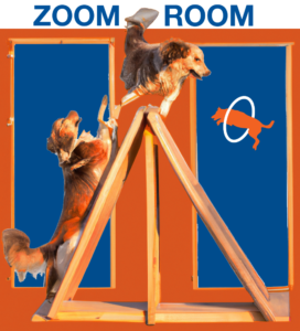 Zoom Room Quadruples Growth