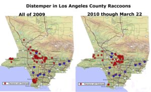 distemper map