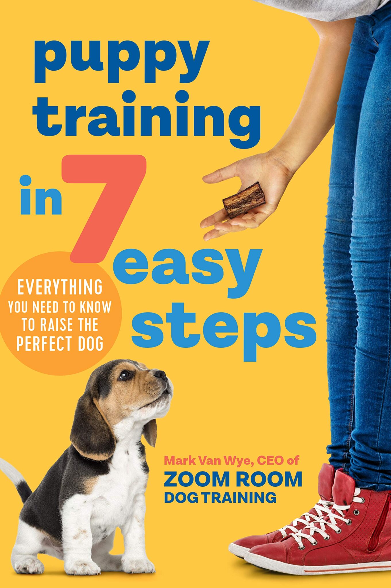 Puppy Socialization Vaccination Requirements for Puppies Zoom Room