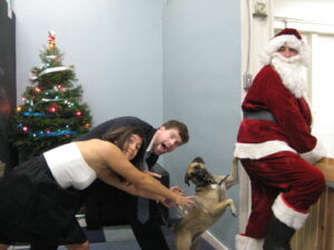 Christmas Dogs Culver City