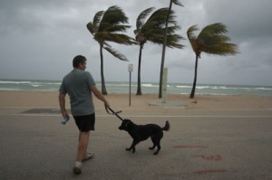 Keep Your Dog Safe During a Hurricane