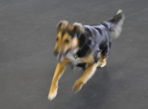 Kanga Running at the Speed of Light