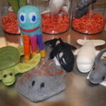 Dog Toy Sea Creatures