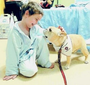 Benefits of Therapy Dogs