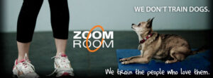 Redwood City dog training