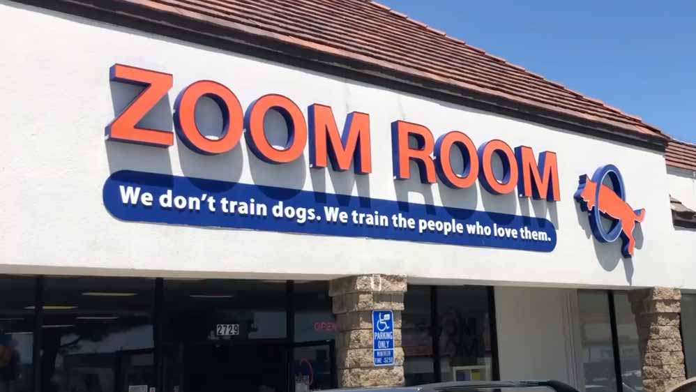 the zoom room dog training center the zoom room dog training center