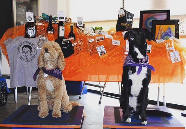 Shop dogs Hank & Dakota here to remind everyone that our annual ZOOMIVERSARY Raffle and Sale(20% off everything) are starting TODAY! All pro