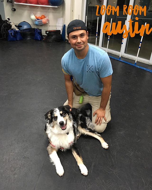 Congratulations to Ajax for graduating from Obedience 1! ?