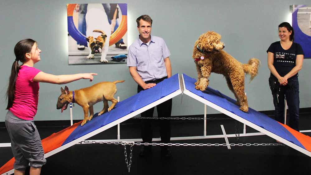 dog-training-in-sandy-salt-lake-city-agility-obedience-puppy