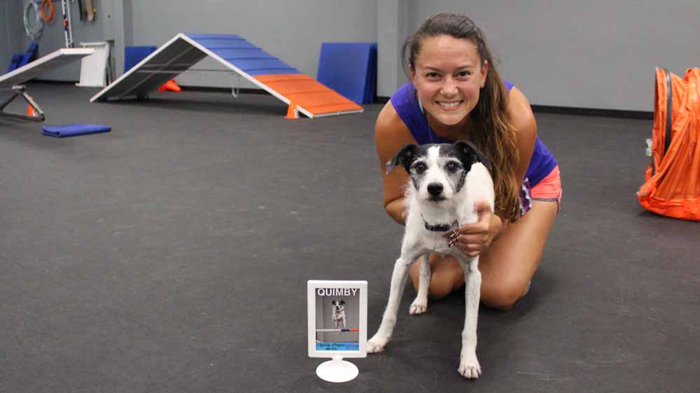 Fun Side — agility cues for you - dog agility training louisville kentucky