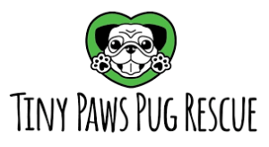 Dog Yoga with Tiny Paws Pug Rescue