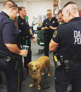 Therapy Dogs Bring Comfort After Police Shooting