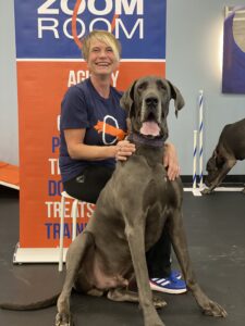 Zoom Room Reno Focuses on Positive Reinforcement and Socialization Training