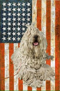Keep Your Dog Safe on the Fourth of July