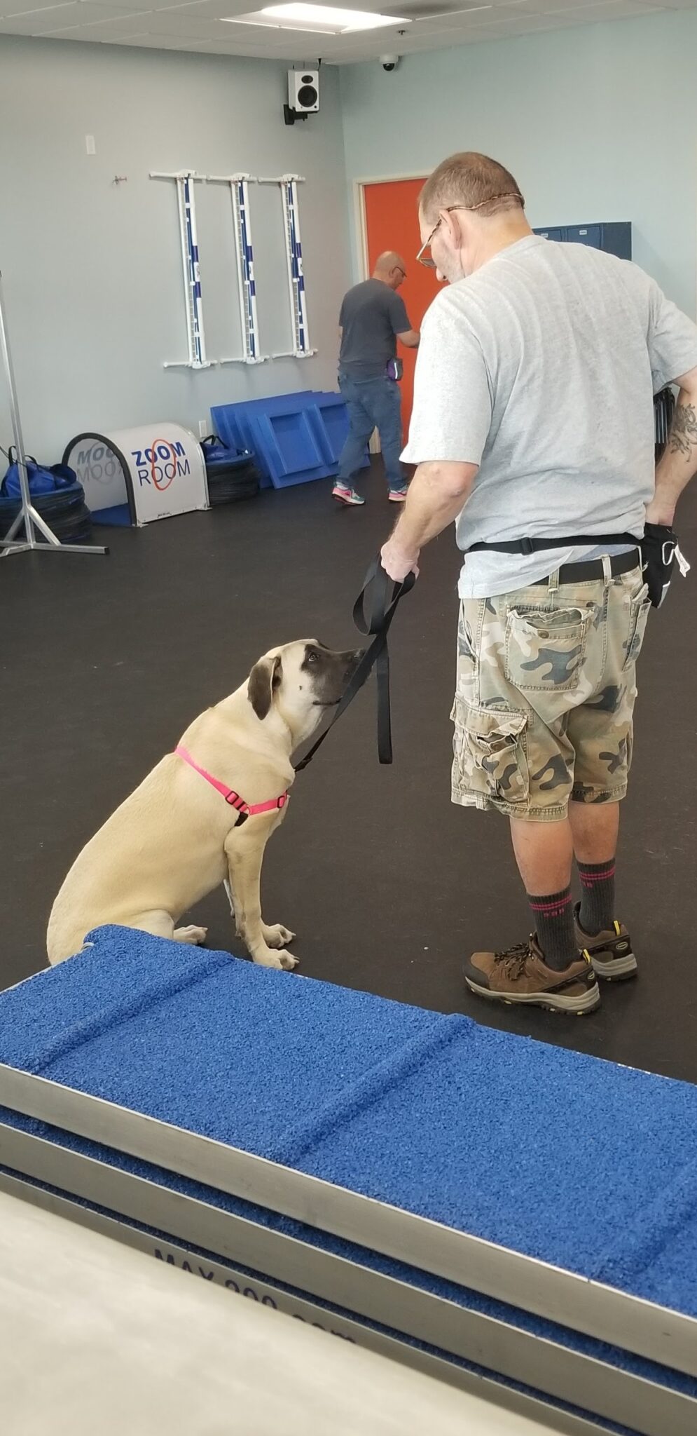 Charlie Zoom Room Dog Training