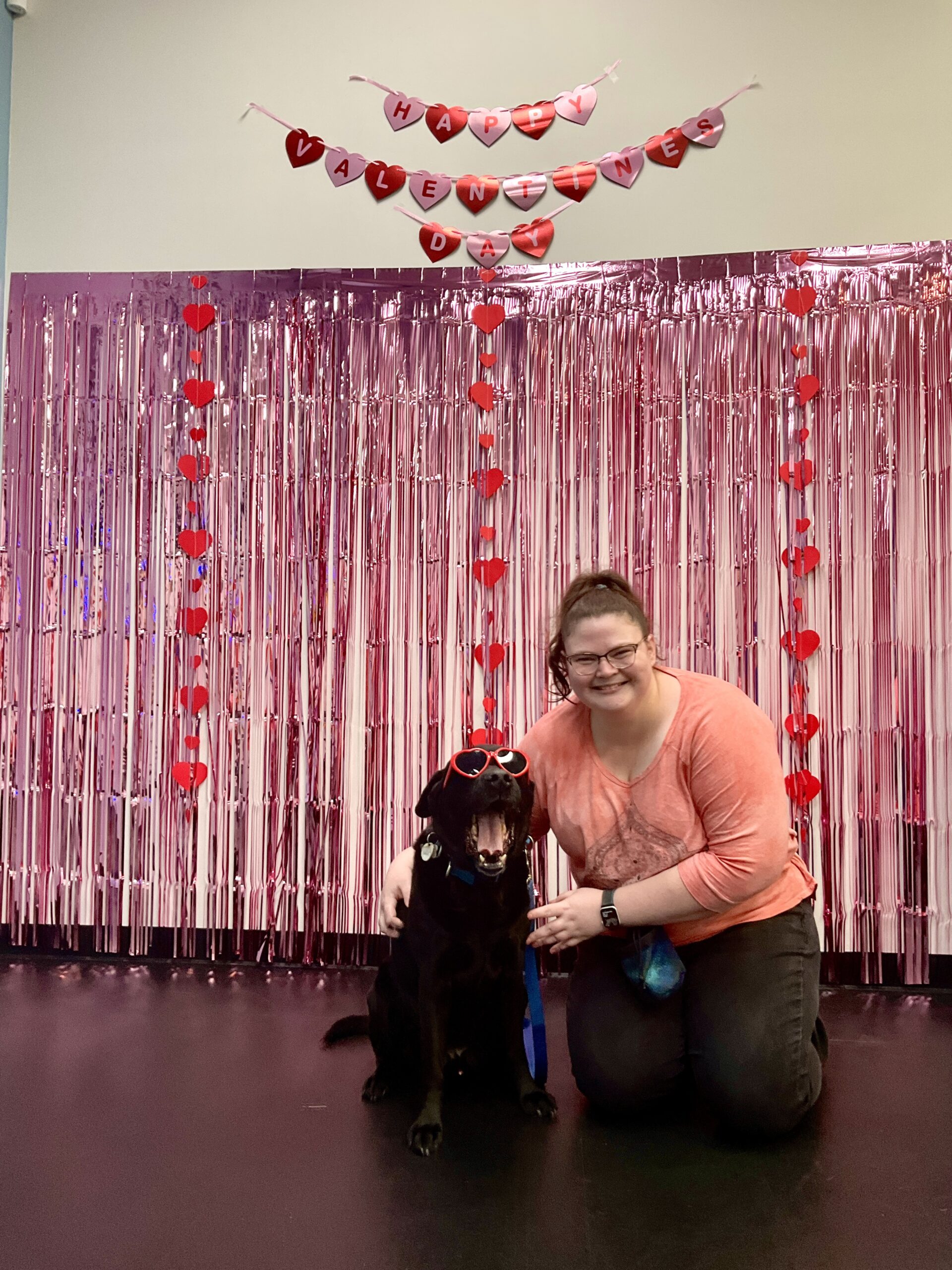 Nigel Zoom Room Dog Training