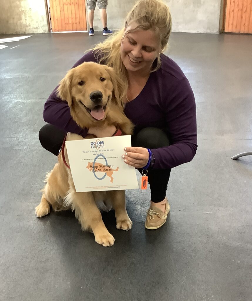 Baxter Zoom Room Dog Training