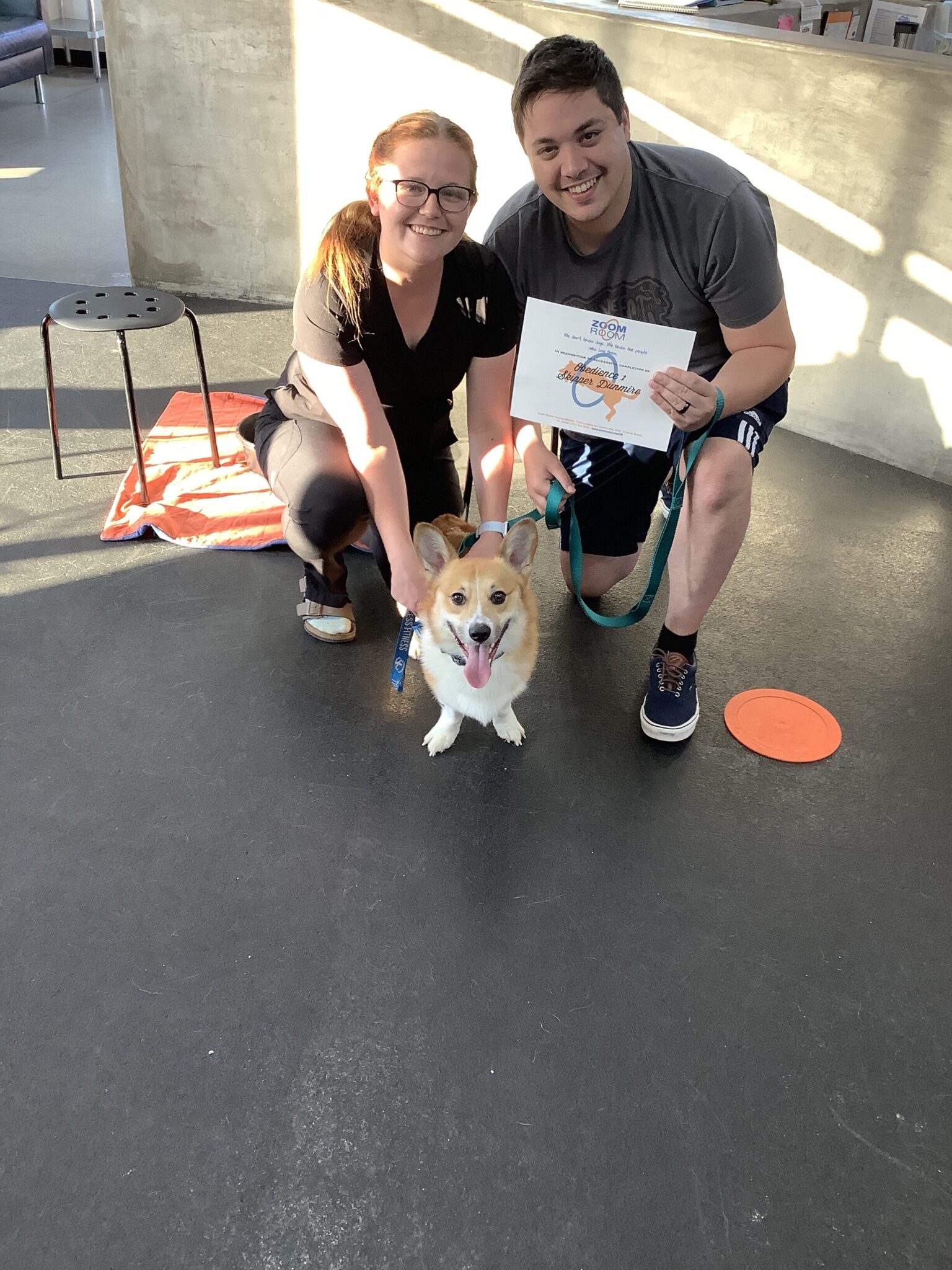 Skipper Zoom Room Dog Training