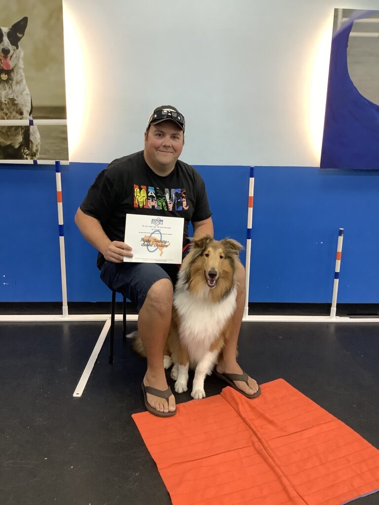 Bucket Zoom Room Dog Training
