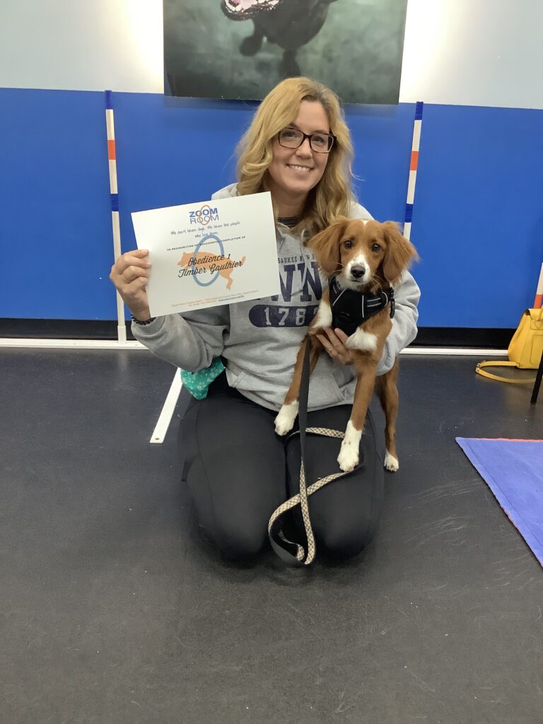 Timber Zoom Room Dog Training