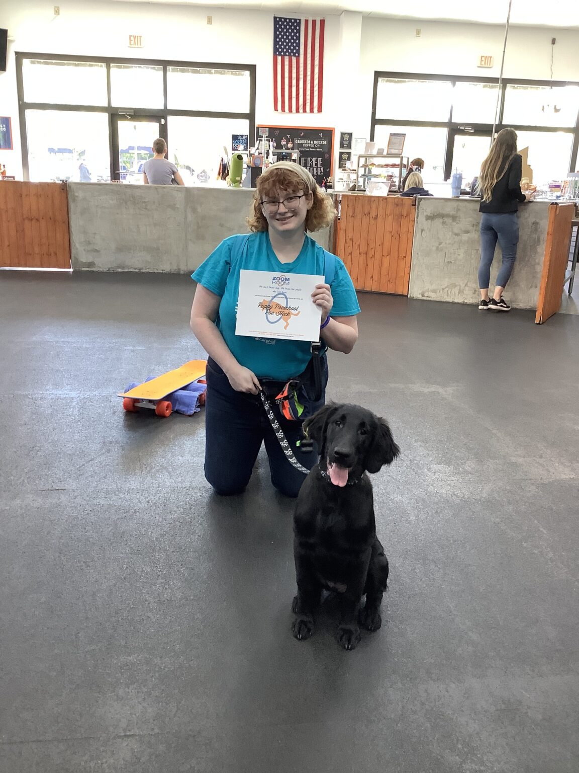 Poe Zoom Room Dog Training