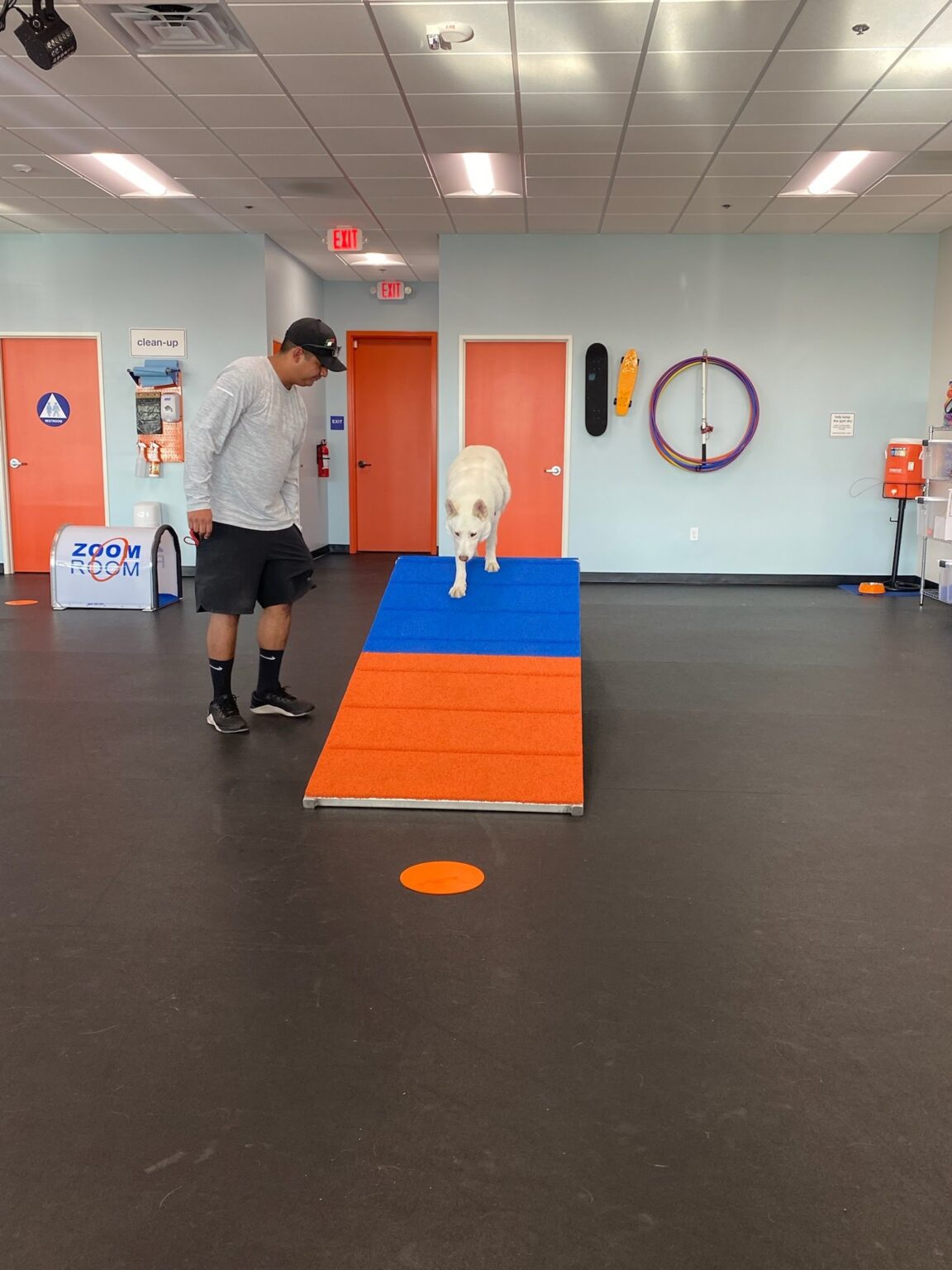  May 14 L May 14 o May 14 b May 14 o May 14 Zoom Room Dog Training