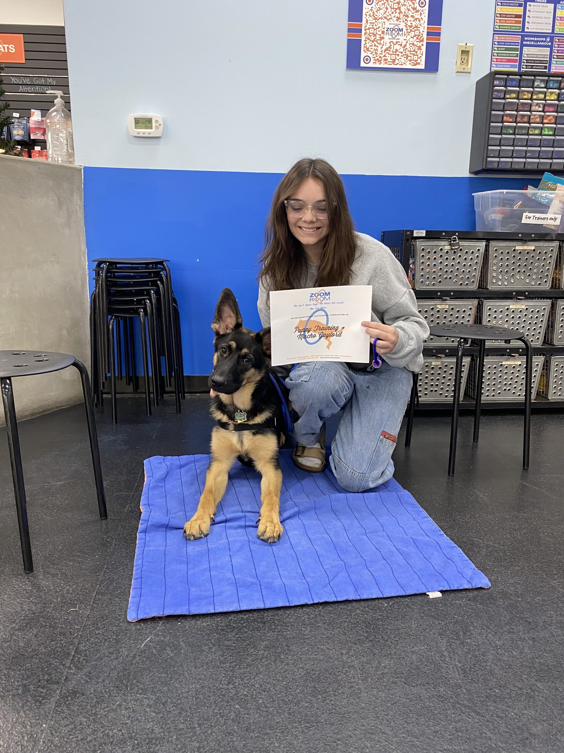 Macho Zoom Room Dog Training macho-zoom-room-dog-training