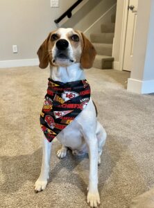 Owen is dog of the month