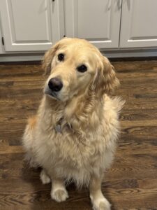 Cooper is dog of the month