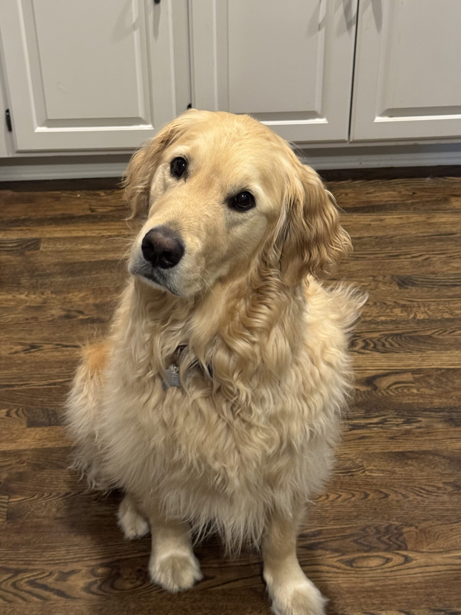 Cooper