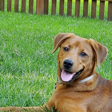 Margo