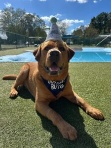 Reacher is dog of the month